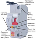 Умный автоматический выключатель Tervix Pro Line WiFi Circuit Breaker, 16A (без ЭМ)