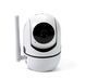 Внутрішня панорамна Wi-Fi камера Tervix Pro Line Minion Cam WiFi